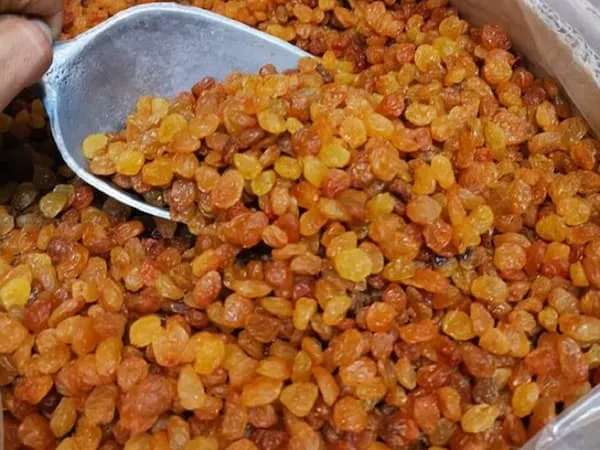 قیمت خرید صادرات کشمش به ترکیه + راهنمای استفاده