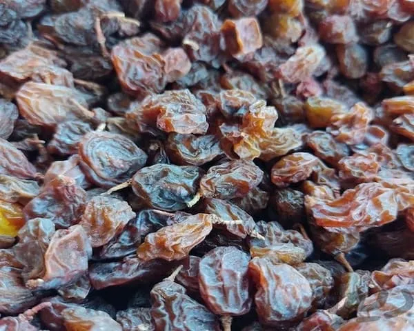 خرید مصرف کشمش در غذا + قیمت عالی با کیفیت تضمینی