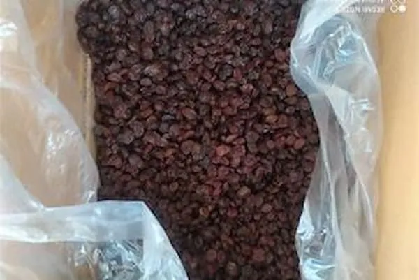 قیمت خرید بسته بندی کشمش پلویی + طرز تهیه